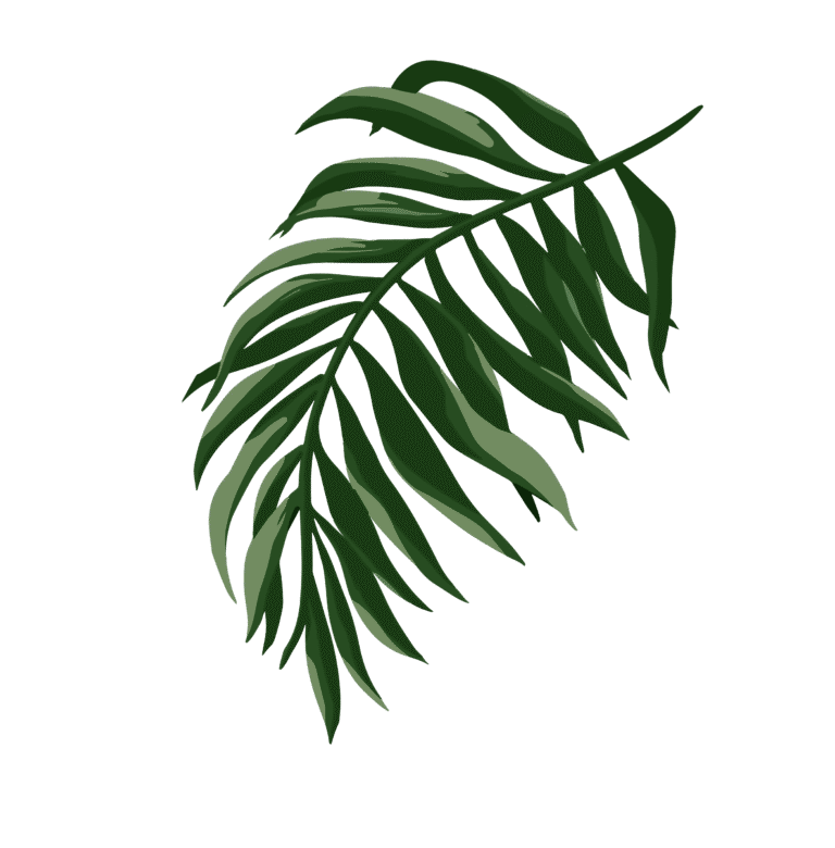 Palmenblatt
